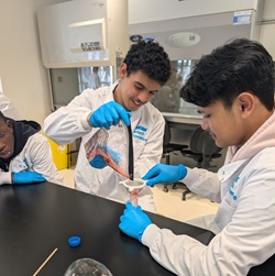 Pupils in laboratory