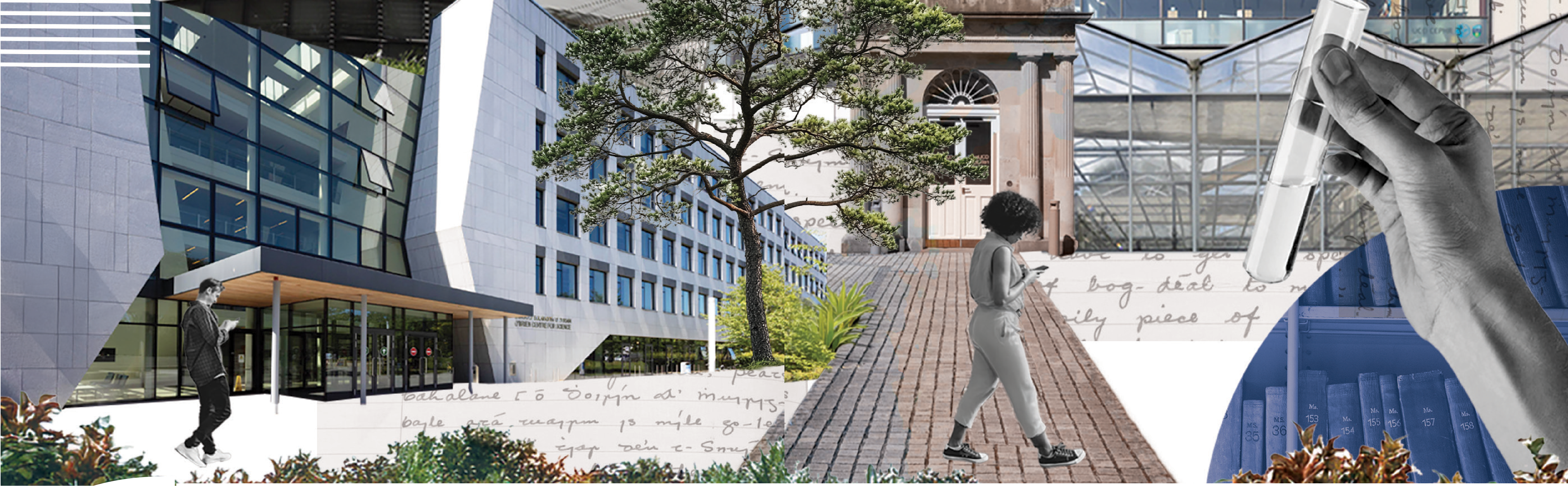 UCD Connections Alumni Magazine 2025-2026