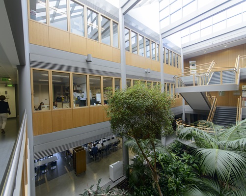 Inside building with atrium garden