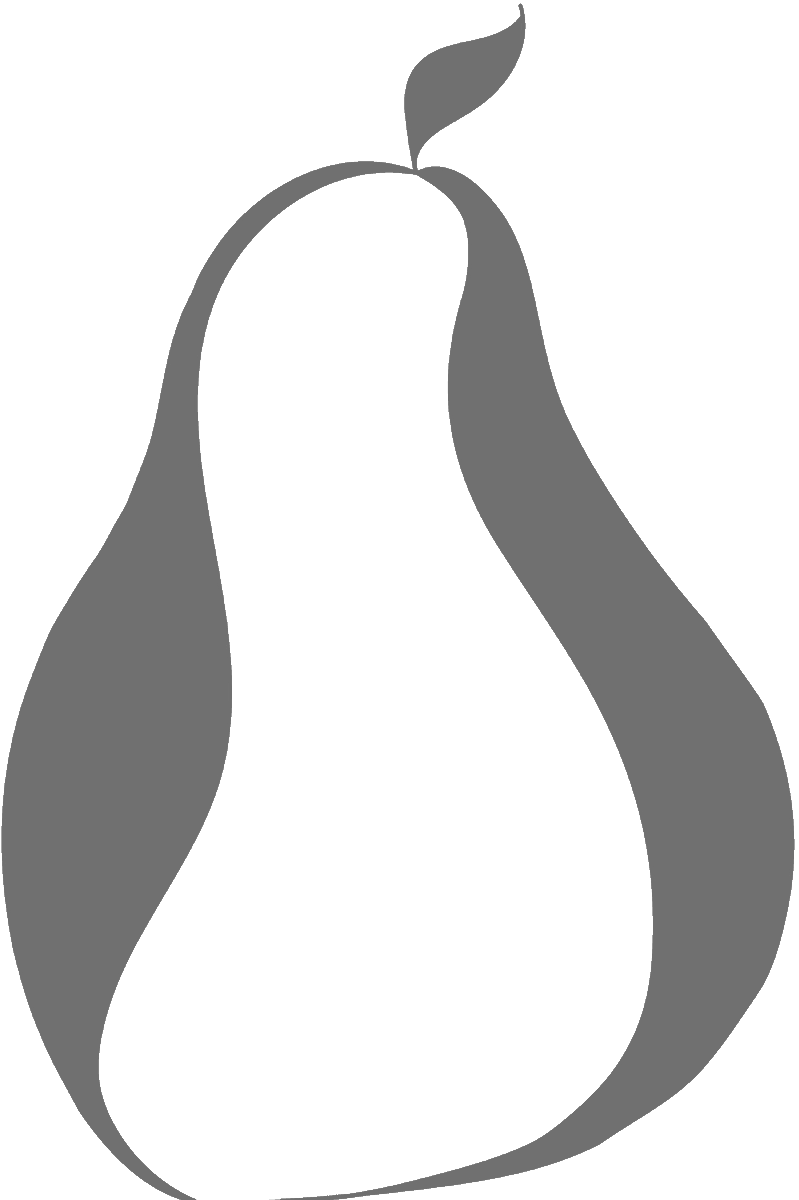 Article in The Irish Times