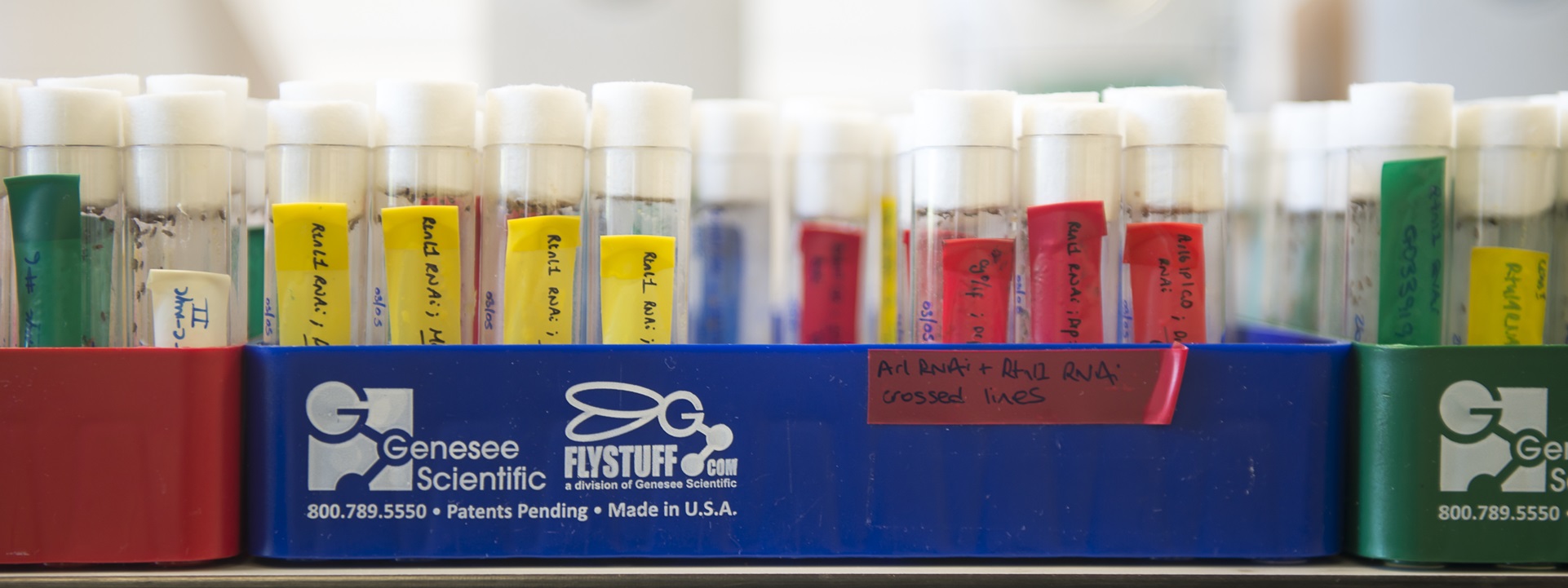 Tubes in a laboratory