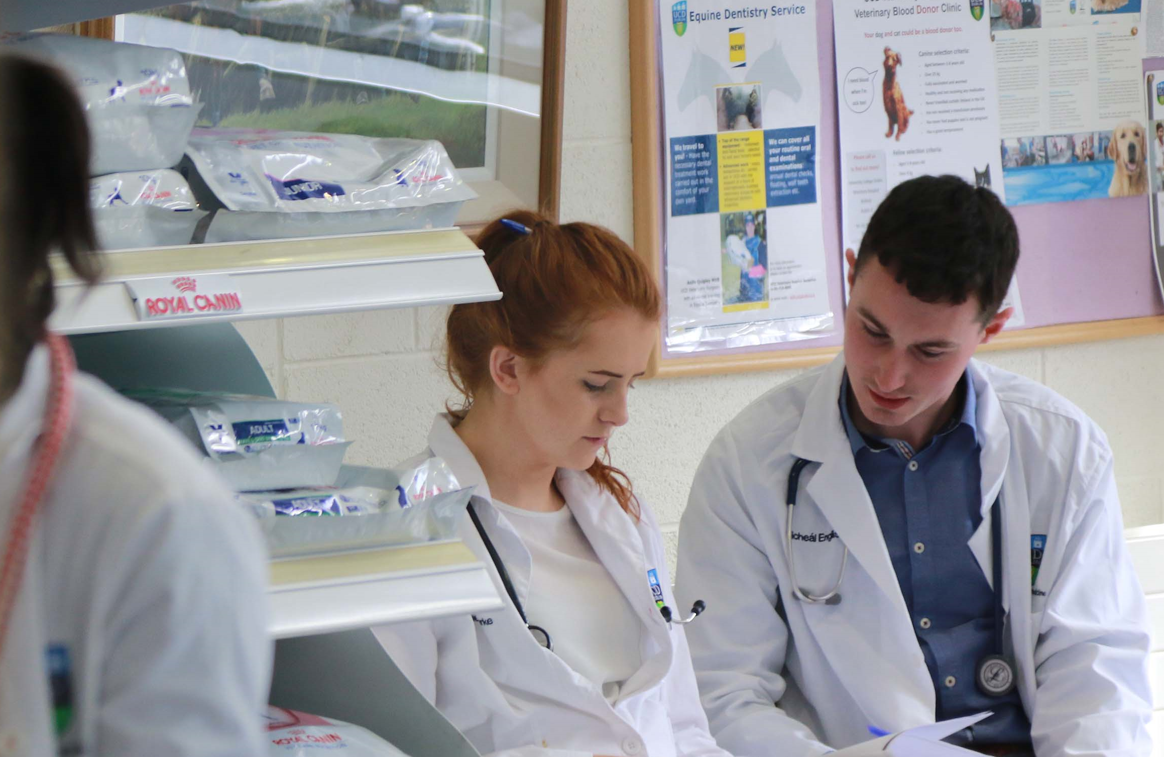 The UCD School of Veterinary Medicine provides a number of taught graduate programmes at certificate level. These courses are delivered by distance learning to facilitate access, continuing professional education and life-long learning.  Please click on the links below for further information on our Graduate Certificate programmes:\n\n