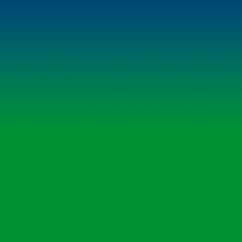 Description for Google Workspace Video