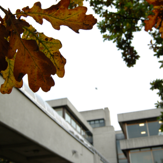 UCD Campus in autumn thumbnail